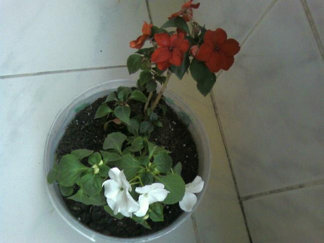 Name:  Fotoraf-0002.jpg
Views: 8466
Size:  30.2 KB
