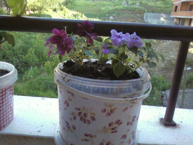 Name:  26.05.jpg
Views: 8694
Size:  50.2 KB