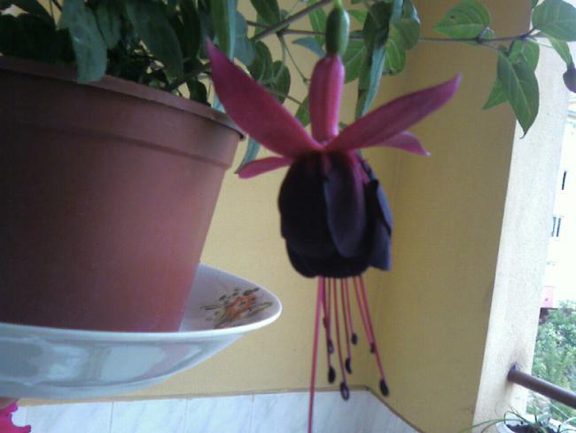 Name:  Fotoraf-0001.jpg
Views: 1353
Size:  31.1 KB