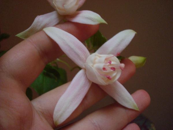 Name:  .DSC06872.jpg
Views: 2283
Size:  22.6 KB