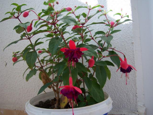 Name:  100_4143.jpg
Views: 1295
Size:  50.7 KB