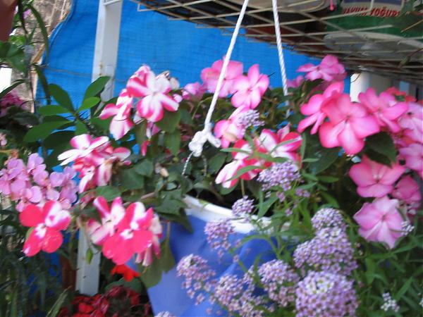 Name:  Resim 062.jpg
Views: 2180
Size:  55.9 KB