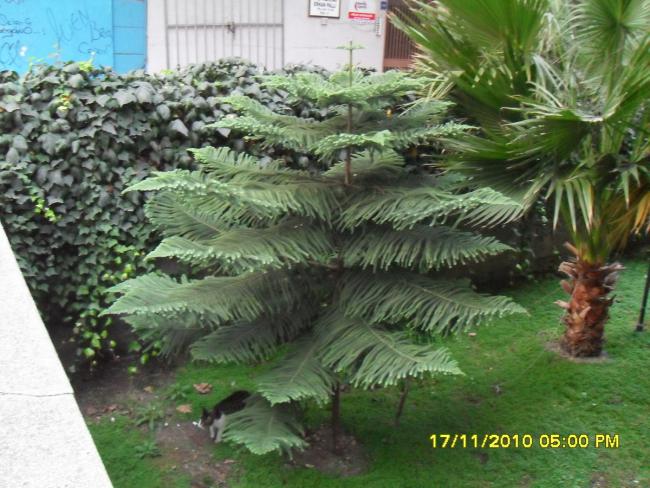 Name:  002.jpg
Views: 9956
Size:  63.0 KB