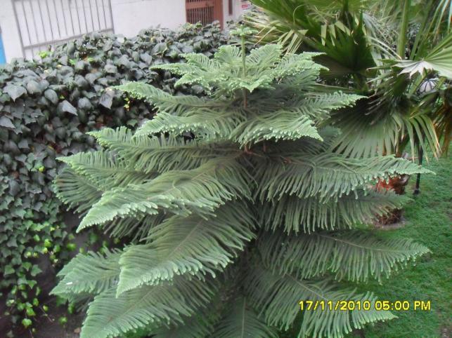 Name:  003.jpg
Views: 9994
Size:  70.7 KB