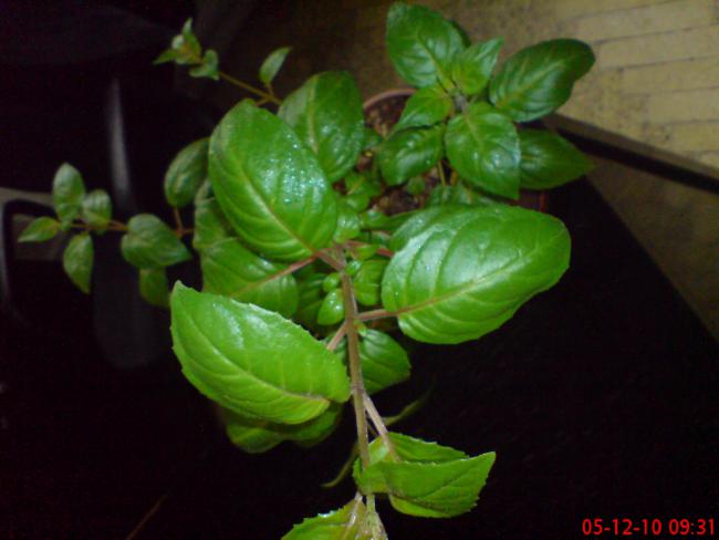 Name:  Resim 017.jpg
Views: 1346
Size:  32.5 KB