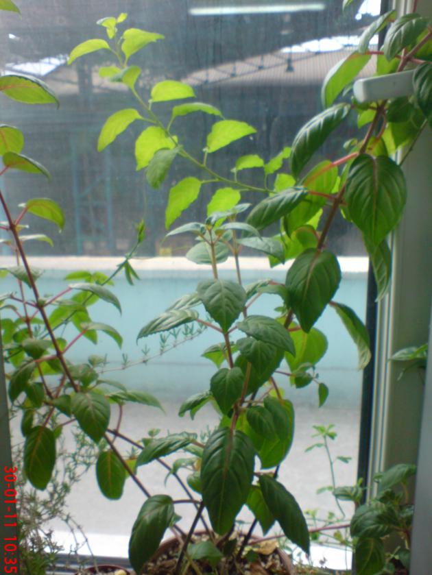 Name:  Resim 094.jpg
Views: 1551
Size:  71.1 KB