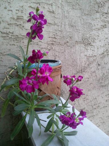 Name:  Fotoraf1644.jpg
Views: 3593
Size:  38.4 KB