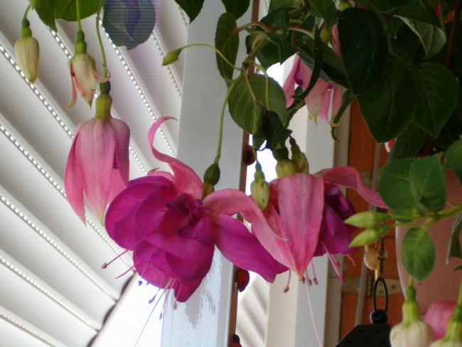 Name:  ieklerim 004.jpg
Views: 1284
Size:  41.7 KB