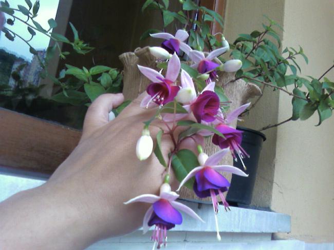 Name:  18.06 (1).jpg
Views: 1245
Size:  42.6 KB