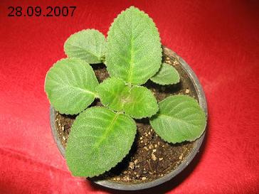 Name:  28.09.2007.jpg
Views: 1733
Size:  27.0 KB