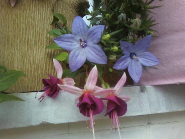 Name:  28.06 (16).jpg
Views: 11993
Size:  38.8 KB