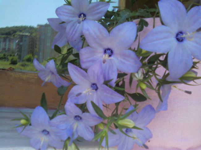 Name:  Fotoraf-0010.jpg
Views: 11449
Size:  36.4 KB
