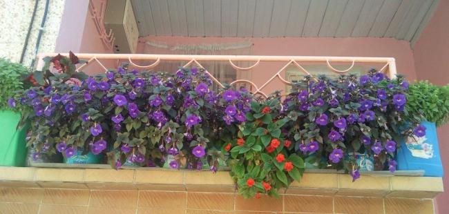 Name:  SNC00042-1.jpg
Views: 6592
Size:  39.6 KB