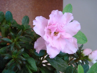 Name:  astos eyll 036.JPG
Views: 1813
Size:  59.7 KB