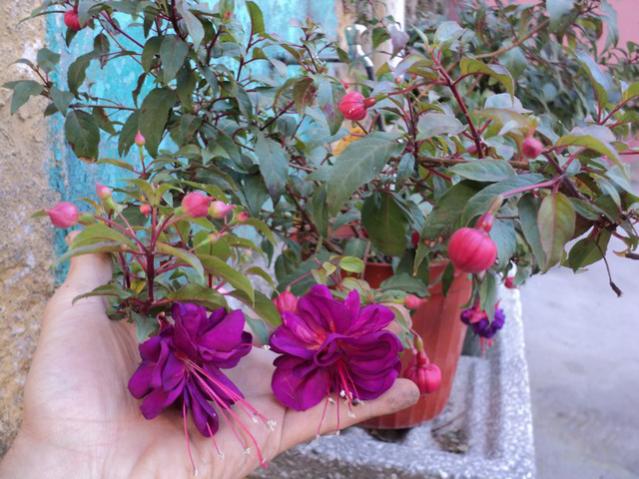 Name:  Image00011.jpg
Views: 2285
Size:  58.7 KB