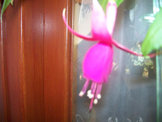 Name:  100_1878.jpg
Views: 1967
Size:  29.8 KB
