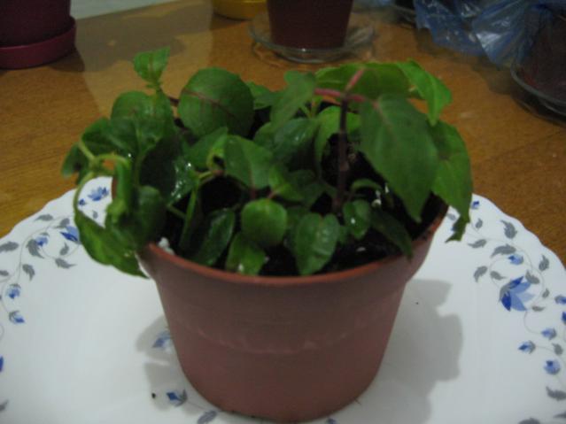 Name:  IMG_0002.jpg
Views: 1901
Size:  27.5 KB