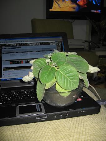 Name:  Resim 009.jpg
Views: 1802
Size:  34.4 KB
