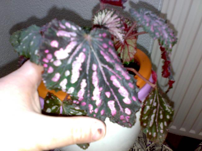 Name:  14042012060.jpg
Views: 1605
Size:  40.8 KB