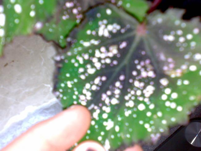 Name:  14042012087.jpg
Views: 1505
Size:  37.6 KB