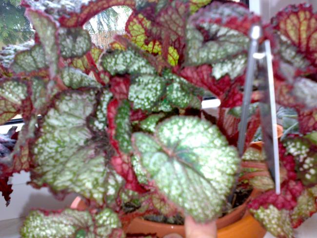 Name:  14042012062.jpg
Views: 1427
Size:  57.7 KB