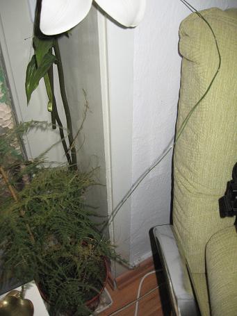Name:  tl2.JPG
Views: 3867
Size:  31.7 KB