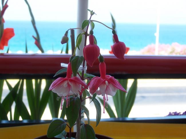 Name:  047.jpg
Views: 1840
Size:  35.8 KB