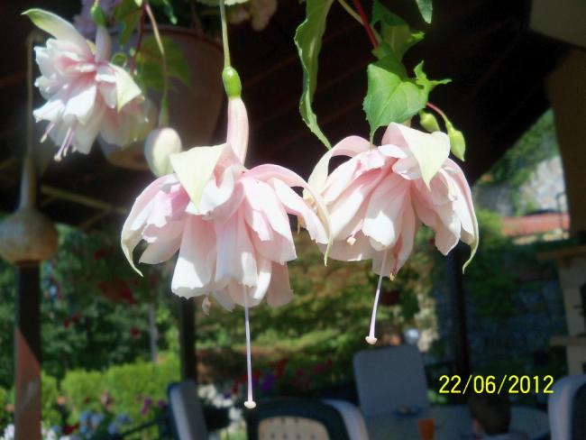 Name:  100_6419.jpg
Views: 2260
Size:  39.5 KB