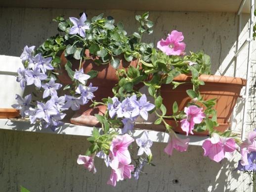 Name:  P7020014 - Kopya.jpg
Views: 2090
Size:  41.7 KB
