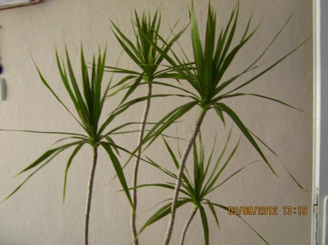 Name:  003.jpg
Views: 5309
Size:  40.0 KB