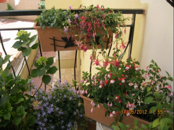 Name:  Resim 493.jpg
Views: 2709
Size:  66.4 KB