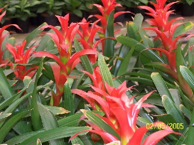 Name:  014.jpg
Views: 7263
Size:  52.7 KB