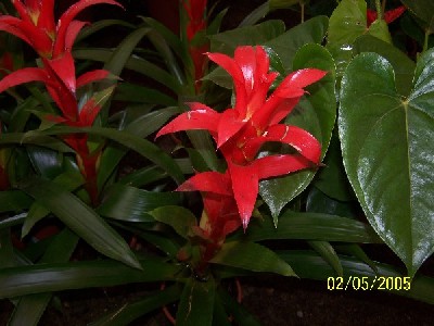 Name:  036.jpg
Views: 6157
Size:  37.2 KB