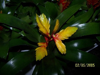 Name:  048.jpg
Views: 6123
Size:  30.4 KB