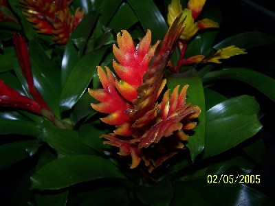 Name:  049.jpg
Views: 6259
Size:  31.8 KB