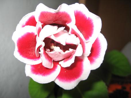Name:  Resim 002.jpg
Views: 1720
Size:  27.5 KB