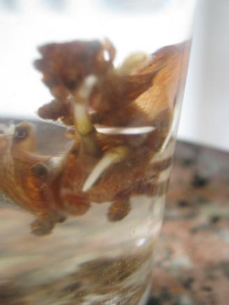 Name:  ahtapot.JPG
Views: 1911
Size:  21.1 KB