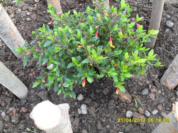 Name:  001.jpg
Views: 1214
Size:  72.3 KB
