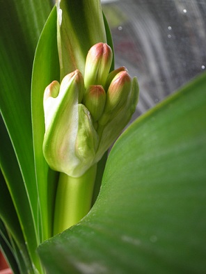 Name:  P2110001 - Kopya.JPG
Views: 2178
Size:  58.4 KB