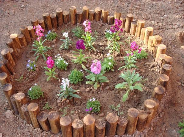 Name:  mixed flower bed.jpg
Views: 5849
Size:  71.2 KB