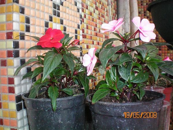 Name:  000_0007.jpg
Views: 4907
Size:  59.0 KB