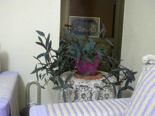 Name:  DSCN6463.jpg
Views: 2873
Size:  28.3 KB