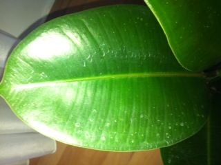 Name:  fotoraf-9.JPG
Views: 6762
Size:  33.6 KB