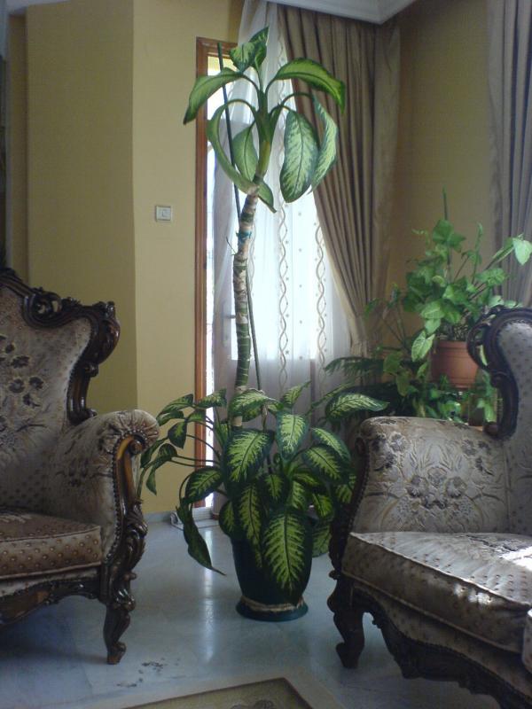 Name:  DSC04271.jpg
Views: 1967
Size:  61.9 KB