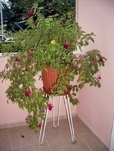 Name:  aIMGP4925.jpg
Views: 107283
Size:  69.8 KB