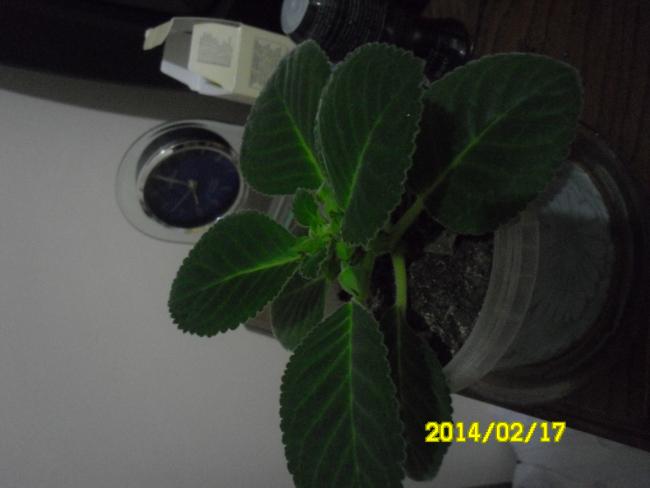 Name:  BARDAK.jpg
Views: 1312
Size:  25.3 KB