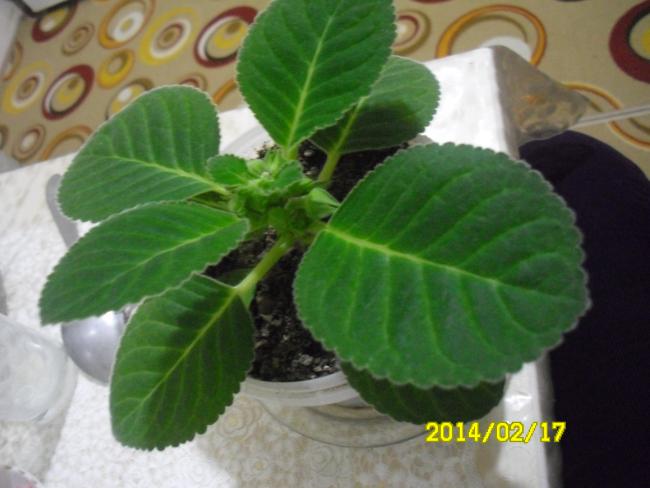 Name:  BARDAK1.jpg
Views: 1378
Size:  37.8 KB