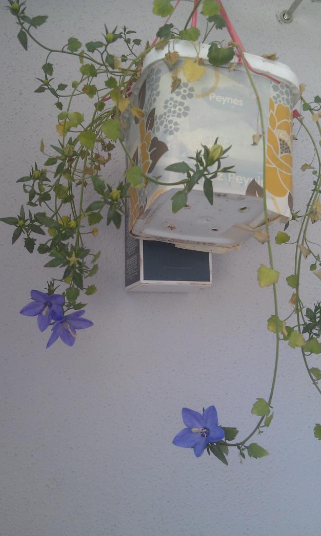 Name:  IMAG0349.jpg
Views: 1908
Size:  71.0 KB
