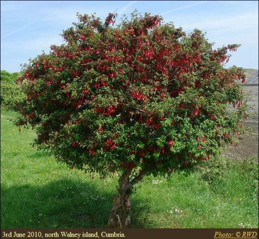 Name:  Image-0000.jpg
Views: 1570
Size:  70.8 KB