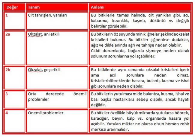 Name:  tablo.jpg
Views: 1635
Size:  68.1 KB